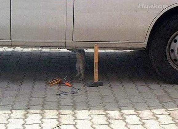 ��Ʒа��ͼ ̫���ˣ��׵���Ѫ��Ȥͼ��